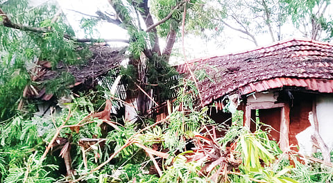 ಮನೆ ಮೇಲೆ ಮರ ಬಿದ್ದು ಹಾನಿ