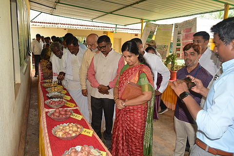 ಆಲೂಗಡ್ಡೆ ಅಂಗಾಂಶ ಕುಡಿಕಾಂಡ ಸಸಿಗೆ 30,000 ರೂ. ಸಹಾಯಧನ