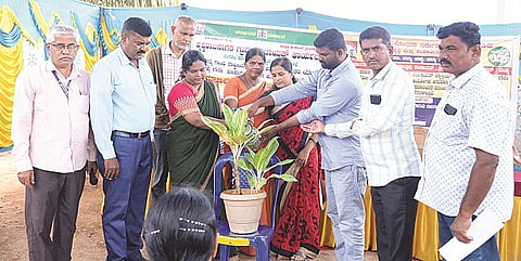 ಕೃಷ್ಣರಾಜಸಾಗರದ ಗ್ರಾಪಂ ಆವರಣದಲ್ಲಿ ಆಯೋಜಿಸಿದ್ದ ಸಭೆಯನ್ನು ಶ್ರುತಿ ಗಿಡಕ್ಕೆ ನೀರು ಹಾಕುವ ಮೂಲಕ ಉದ್ಘಾಟಿಸಿದರು. ಸೌಮ್ಯಾ, ರವಿಶಂಕರೇಗೌಡ, ಬಸವರಾಜು, ರಘುಪತಿ, ರಘು ಇತರರು ಇದ್ದರು.
