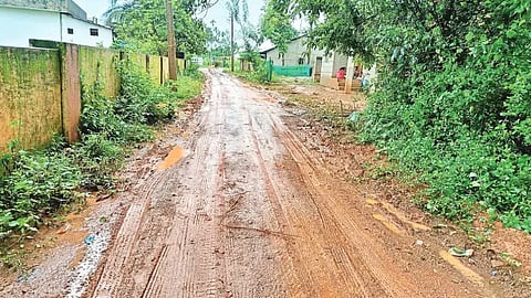 ANP-road