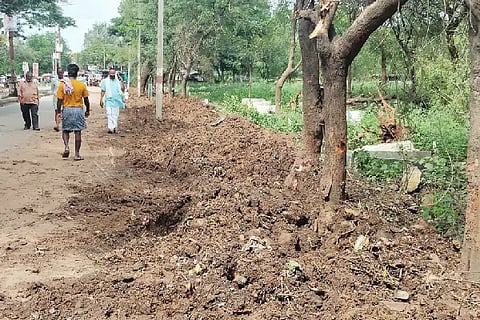 30-byadagai compound