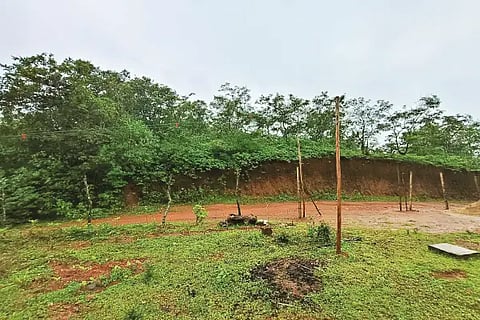 30kgl02