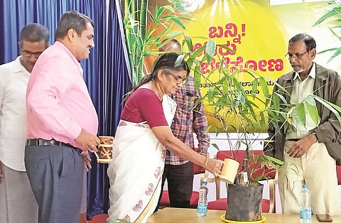 Bamboo workshop