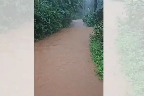 Bdk_Rain