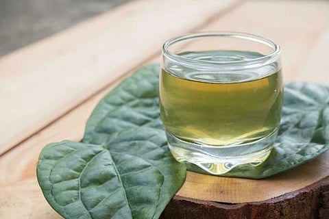 Betel leaf water