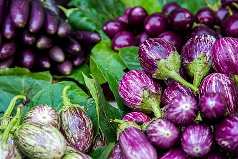 Brinjals Health Benefits