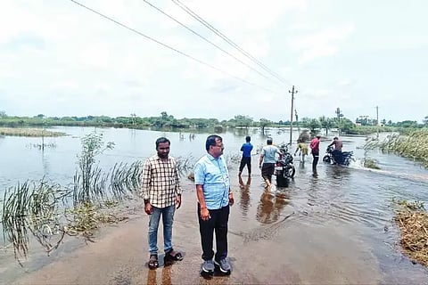 Calmly Flowing Krishna The water is receding