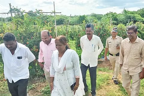 Collectors are happy with the farmer's achievement
