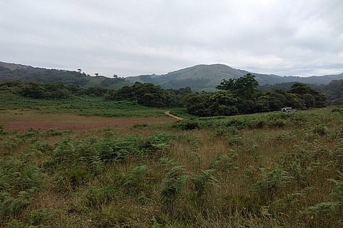 Concern over land conversion in Kodagu