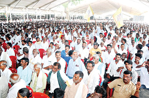 mysore