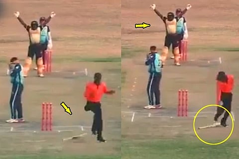 Cricket, Celebrations