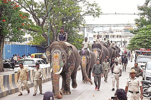 Dasara elephants start carrying load from September 1