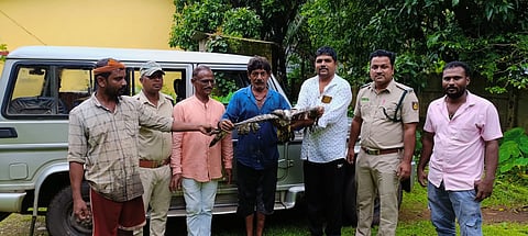 Eagle rescue