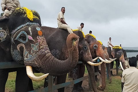 Elephant Day Celebration in Harangi