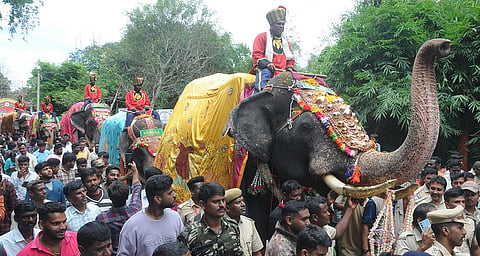 Gajapayana