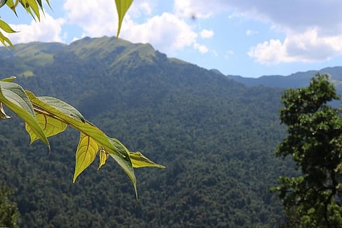 Government to clear forest encroachment