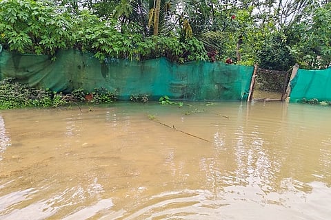 If it rains heavily in Brahmagiri, it will rain