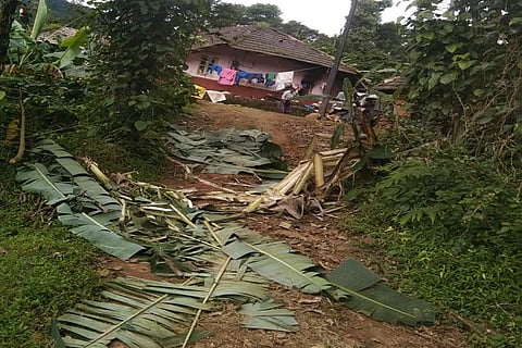 In Cherangala, there is a problem of lone salaga
