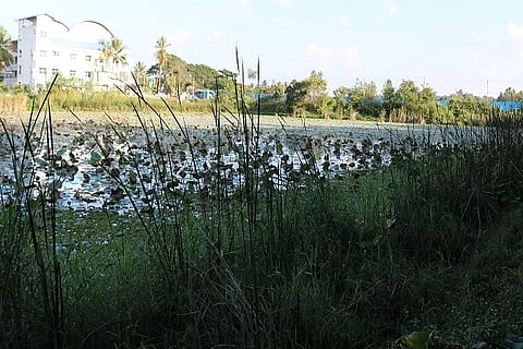 Increasing encroachment of lakes