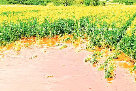 Jagaluru, rain, damage,