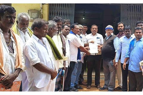 Kampli manavi