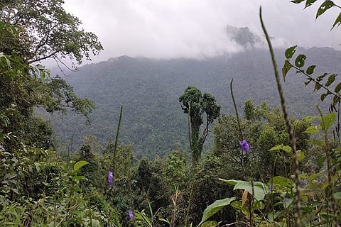 Master Plan for Western Ghats