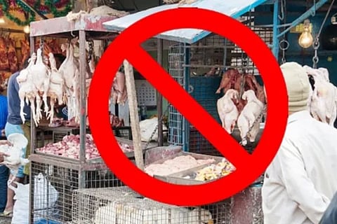 Meat Ban