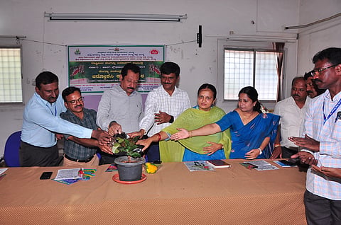 National Dengue Day Mandya