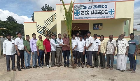 Nela Ph 01 Vitharane