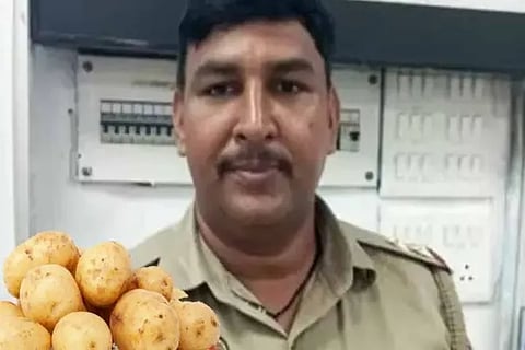 Potato Cop