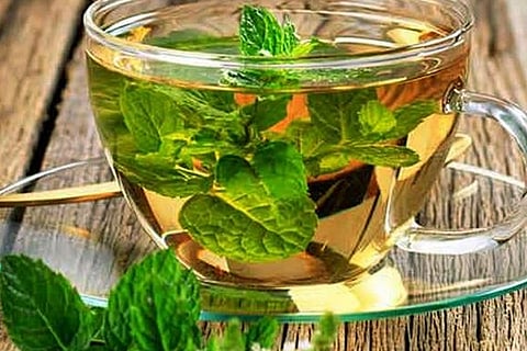 Pudina Tea