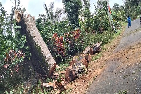 Rain caused disasters