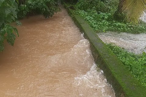 Rain