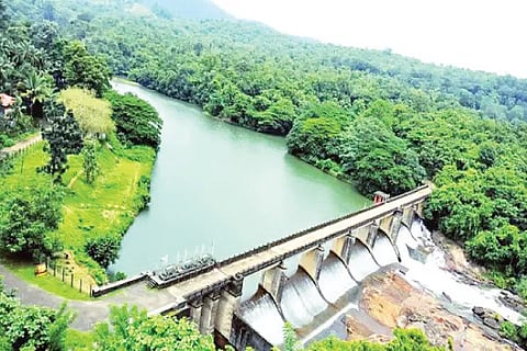 Rashimal