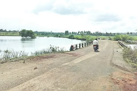 Reduced Krishnarbhata