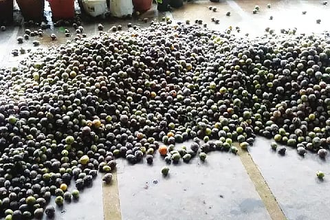 SIRSI ADAKE