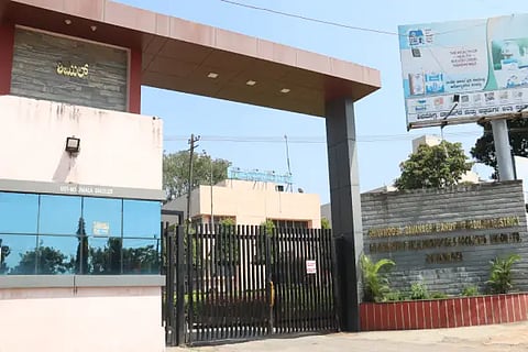 Shimul