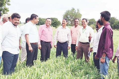 Sirigeri Agri