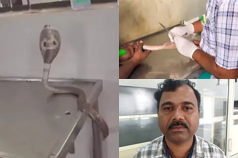 Snake Operation