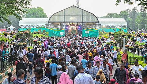 Sudhee_15_ID_Flower_Show_2024_@_Lalbagh (1)