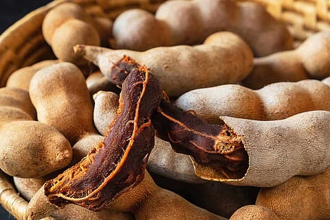 Tamarind