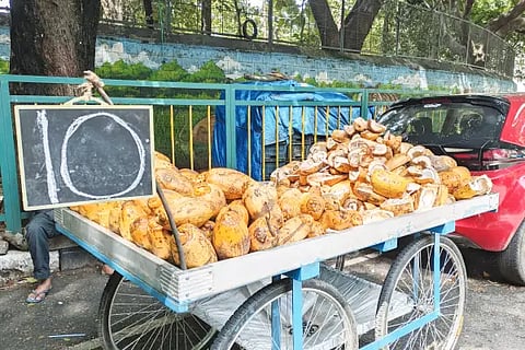 Tender Coconut