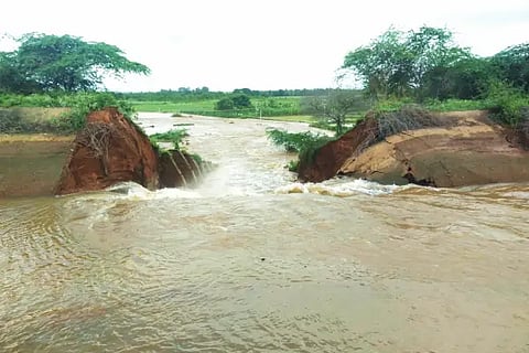The bank of Tunga upper bank burst and damaged crops