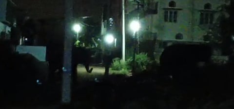 Wild elephants roaming around Mandya