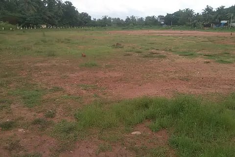 balepuni 1