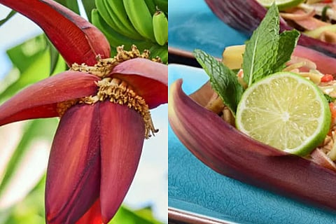 bananaflower