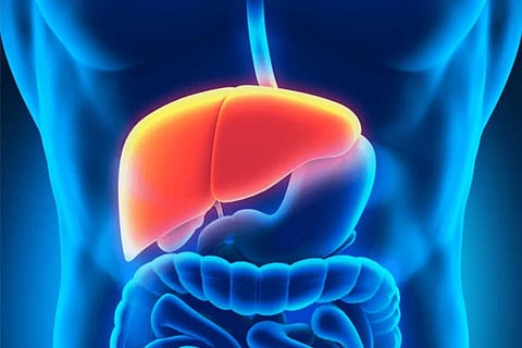 clean the liver