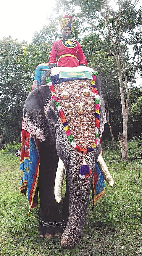 mysore