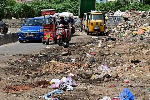 garbageinroad