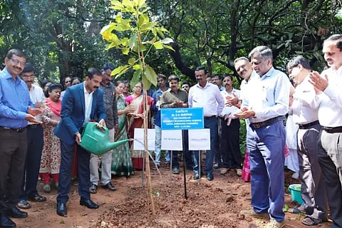 gkvk planting